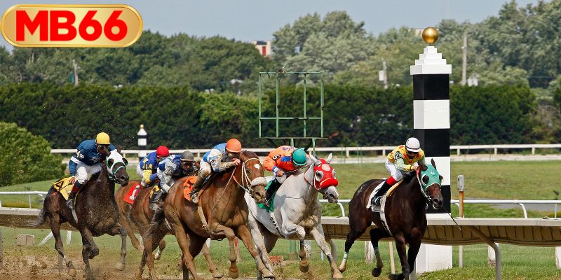 เคล็ดลับสู่ความสำเร็จในการเดิมพันแข่งม้า